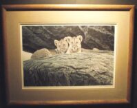 Lion Cubs by Robert Bateman