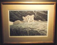 Lion Cubs by Robert Bateman