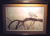 Fallen Willow-snowy owl by Bateman
