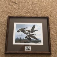 FOS Oregon duckstamp by Sieve