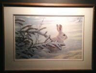 Winter-Snowshoe Hare by Bateman