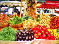 Fresh Veggies Axi en Provence