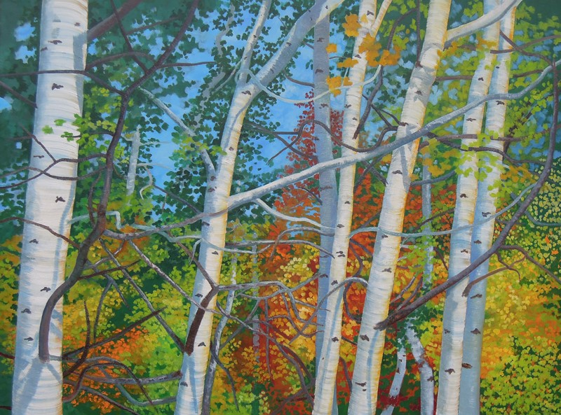 Aspens with shadows
