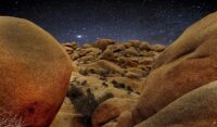 Joshua Tree Star Rise by James Schaff