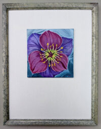 Hellebore No. 3 by Diane Trevett