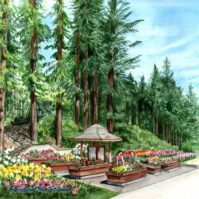 International Rose Test Garden by Judith Baer