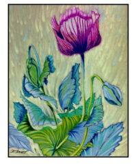 Deirdra's Poppies - Pastel by Diane Trevett