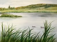Pintails at Baskett Slough Watercolor by Dee Hendrix