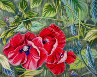 Poppies at Botanical Gardens Pastel - Print by Diane Trevett