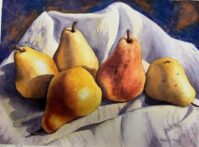 Pears A Plenty-Watercolor by Michelle Myers